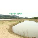 자연생태공원 수변데크 입구 이미지