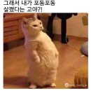 무쓰 이미지