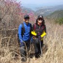 바람에 언덕 이미지