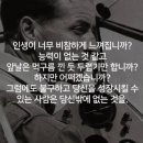 미네르바의올빼미