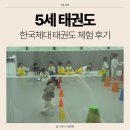 한국체대 태권도 스쿨 이미지