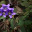 용담농장 이미지