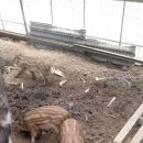 김정태 농장 이미지