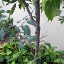 옥상슈퍼 - 밀양시 삼문중앙로4길 18 | 옥상슈퍼
