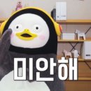 타이어챔피언 이미지