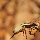 산곡초등학교 이미지