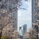 코오롱하늘채공인중개사사무소 이미지