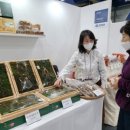 함양(대전) 이미지