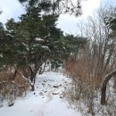091. 20160229 수리산 이미지