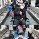 장애인들 온몸 절규, 대답 없는 메아리 (에이블뉴스) 이미지