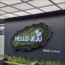 제주도쏠라티투어 갓벽했던 여행 후기
