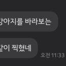 본포토