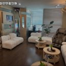 스타로미안연합의원 이미지