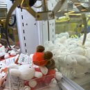 캐칭덕 오락실 이미지