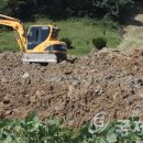 태산약품 이미지