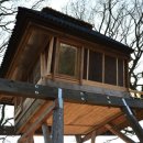 디자인 숲