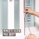 꼬꼬미