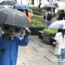 우산쓴고양이 이미지
