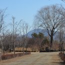 나무고아원 이미지