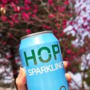 시논인터네셔널 | 봄 나들이 한강 피크닉 준비물 어프리데이(Afreeday) 논알콜 수제맥주, GS편의점에서 더 간편하게 만나요