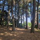 삼성여고 앞 3 이미지