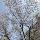 학익법조타운먹거리촌 이미지