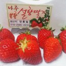 양홍일 농장 네이버블로그