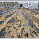 땅콩민박 이미지