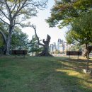 선소입구공원 이미지