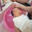 온막지 | 아기 월령별 욕조 사용후기 목욕방법: 센스2030 슈너글 온다베이비 오플라 본베베 접이식욕조
