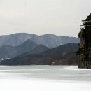 왕소나무길 이미지