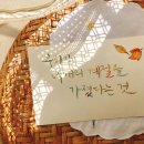 우리개 우리냥이 네이버블로그