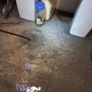 북원상가(2층) | 원주하수구업체 하수구막힘싱크대막힘 이용후기