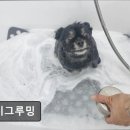제이그루밍 이미지