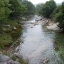 대청세탁소 이미지