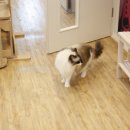 찰리호텔 이미지