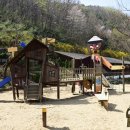 석화꽃무지 풀무지 유치원 이미지