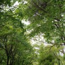 돌리네습지 초소 이미지