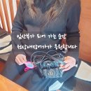 면목동-128 네이버블로그