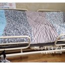 루첼라리아 네이버블로그