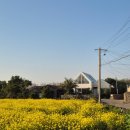 도원로 | 제주 감성숙소 추천 다채놀 제주서쪽숙소 내돈내산 후기