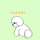 도산 | 압구정 치즈케이크 맛집 트키 도산 카페 강아지 동반 후기