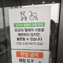 (테마투어)생태투어 | 용인곤충테마파크 3살(22개월), 11살 둘다 대만족한 후기, 체험예약팁, 주차팁, 체험순서