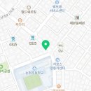 강남고양이 분양 히어로펫 이미지