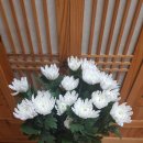 백선농장 이미지