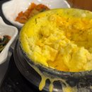 루원시티독 이미지