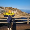 31140-7-49-17 | 한라산 성판악 코스 등산 후기 | 주차, 등산시간, 등정인증서 총정리