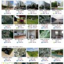 이담공인중개사사무소 이미지