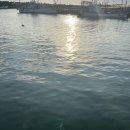 미영(아) 이미지