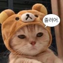 (주)퀸투어 이미지